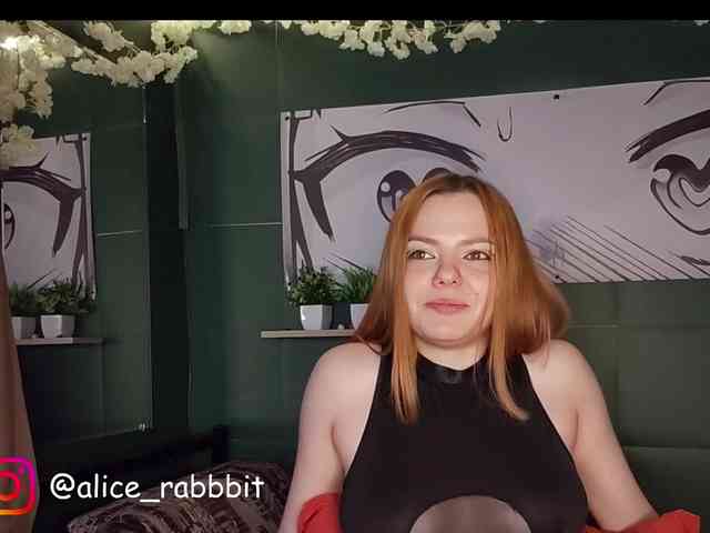 AliceRabbit webcam