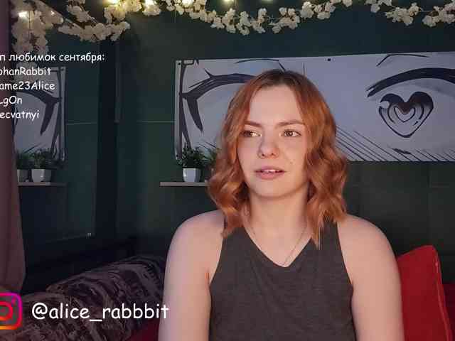 AliceRabbit webcam