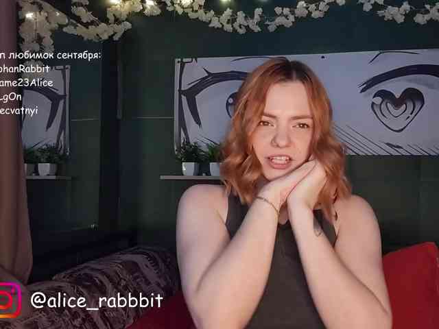 AliceRabbit webcam