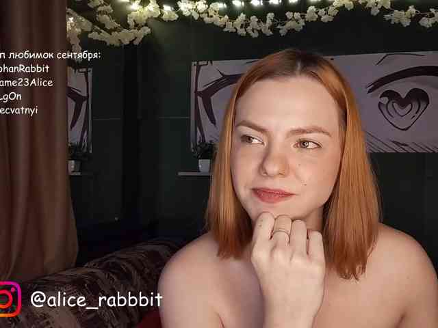 AliceRabbit webcam