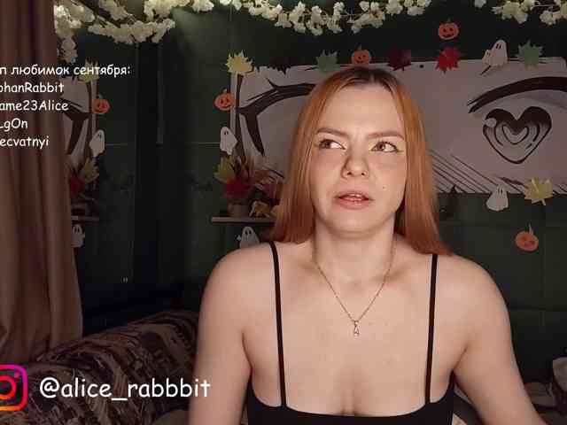 AliceRabbit