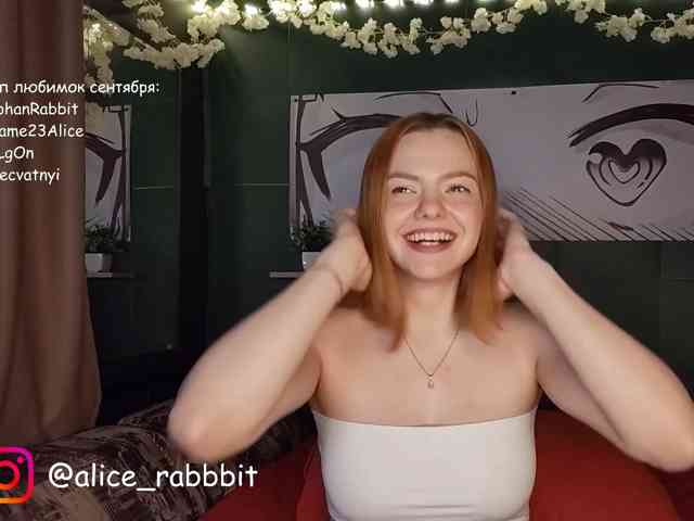 AliceRabbit webcam
