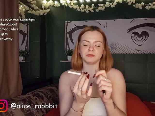 AliceRabbit AliceRabbit