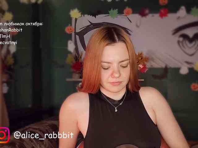 AliceRabbit AliceRabbit