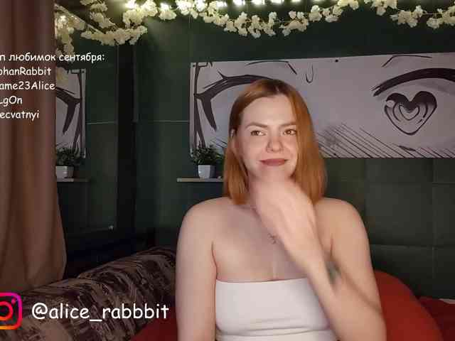 AliceRabbit AliceRabbit