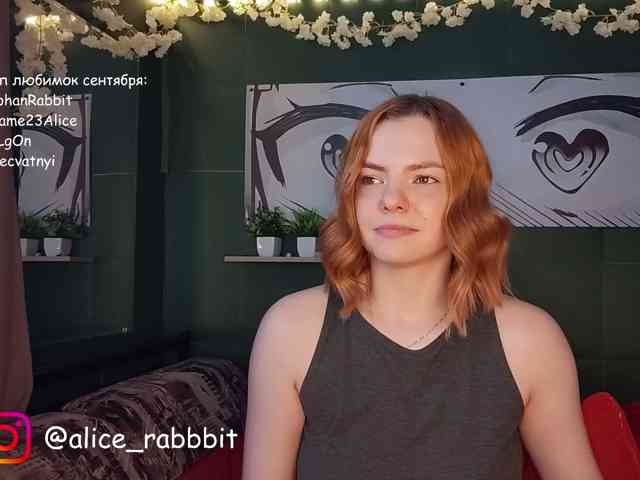 AliceRabbit AliceRabbit