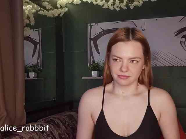 AliceRabbit webcam
