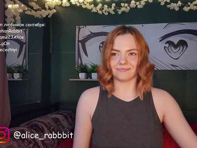 AliceRabbit webcam