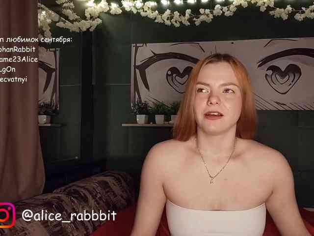 AliceRabbit webcam