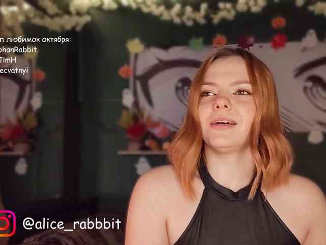 AliceRabbit AliceRabbit