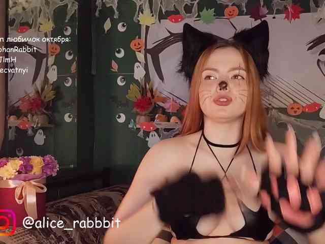 AliceRabbit