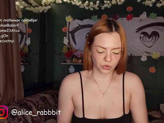 AliceRabbit AliceRabbit
