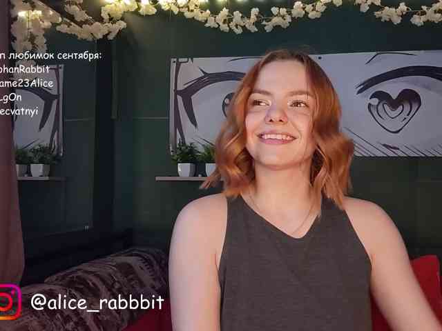 AliceRabbit webcam
