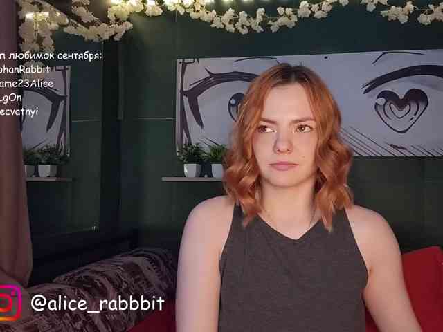 AliceRabbit