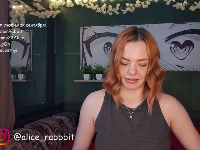 AliceRabbit AliceRabbit