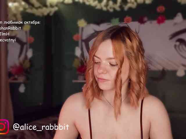 AliceRabbit AliceRabbit
