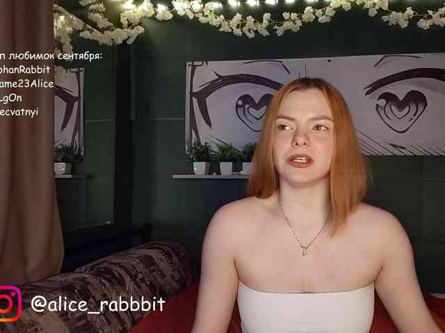 AliceRabbit