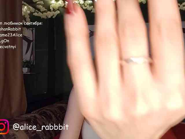AliceRabbit webcam