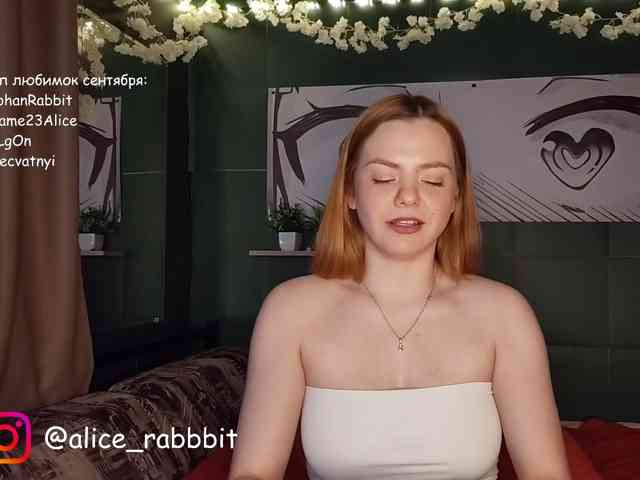AliceRabbit