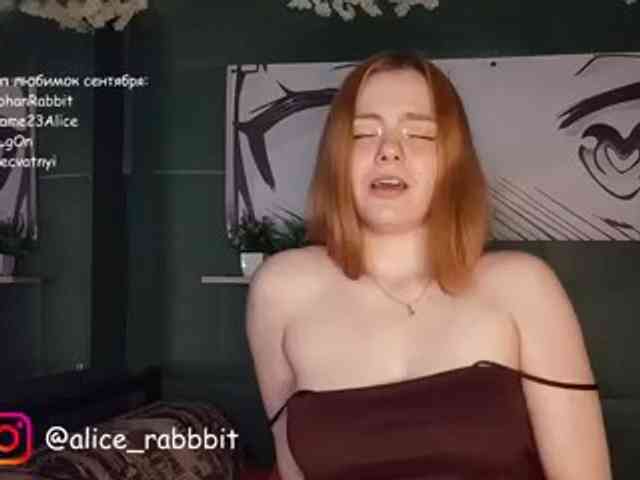 AliceRabbit