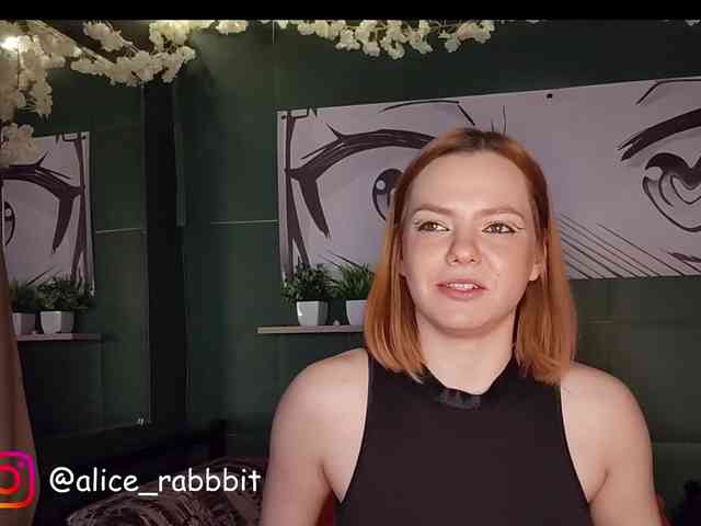 AliceRabbit webcam