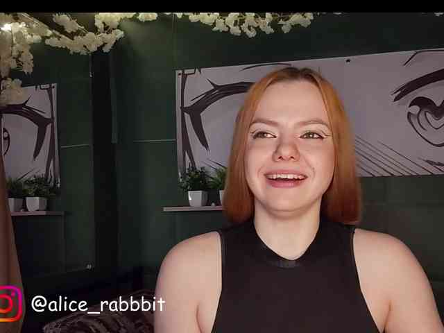 AliceRabbit webcam