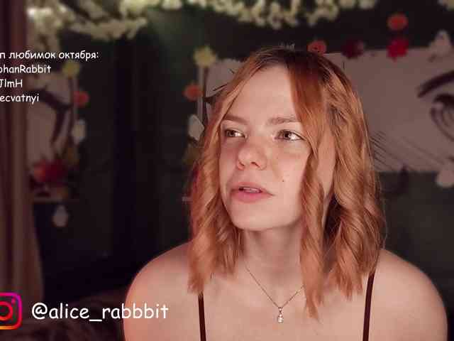 AliceRabbit AliceRabbit