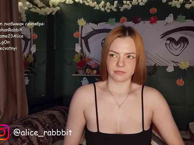AliceRabbit