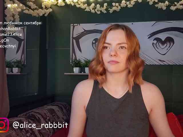 AliceRabbit webcam