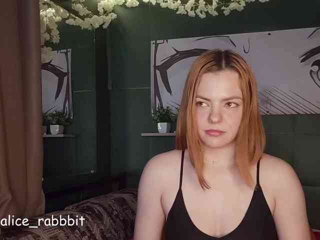 AliceRabbit webcam