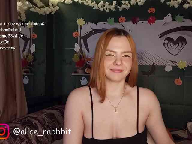 Модель: AliceRabbit