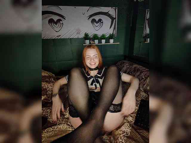 AliceRabbit webcam