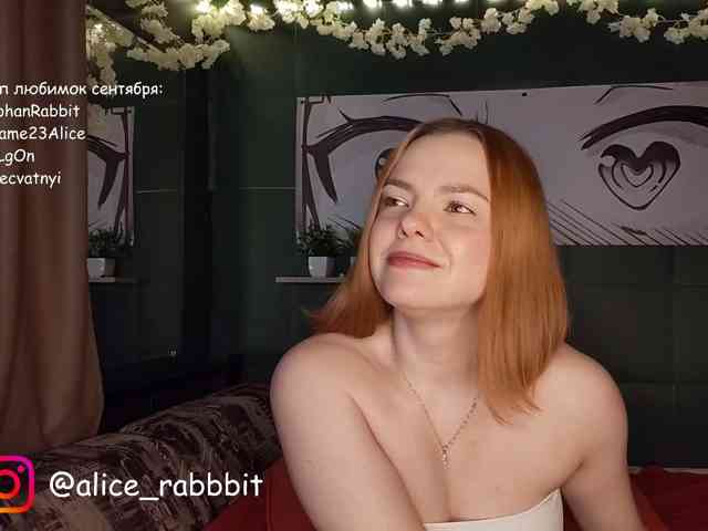 AliceRabbit webcam