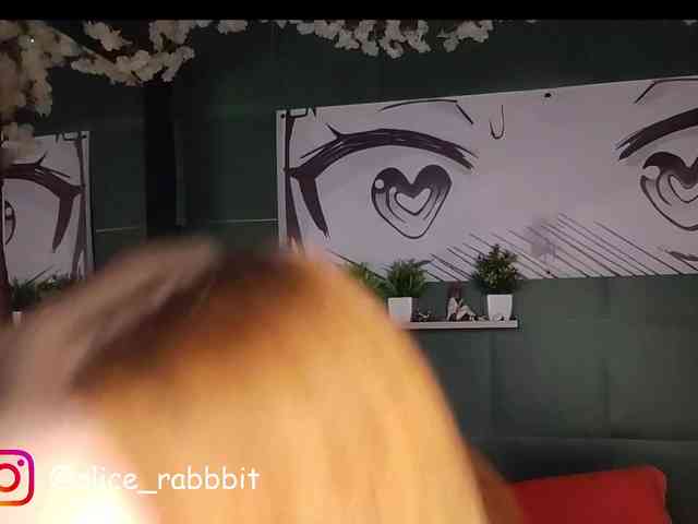 AliceRabbit webcam