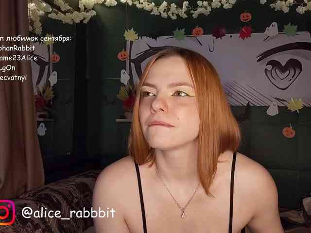 AliceRabbit
