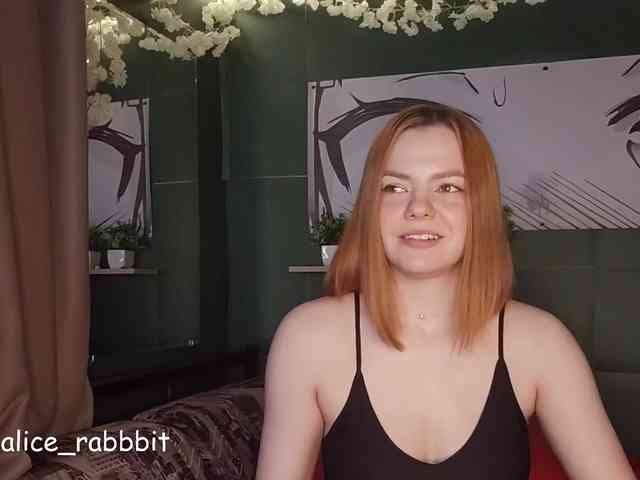 AliceRabbit webcam