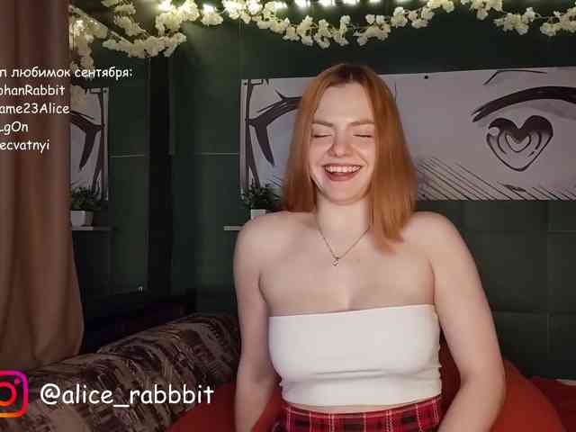 AliceRabbit AliceRabbit