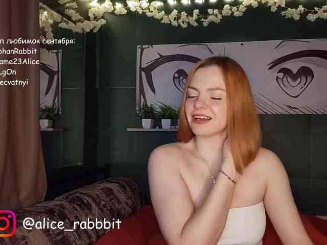 AliceRabbit webcam