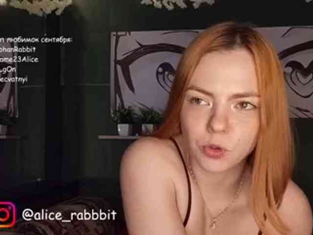 AliceRabbit webcam