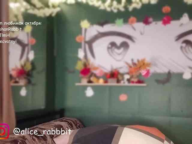 AliceRabbit webcam