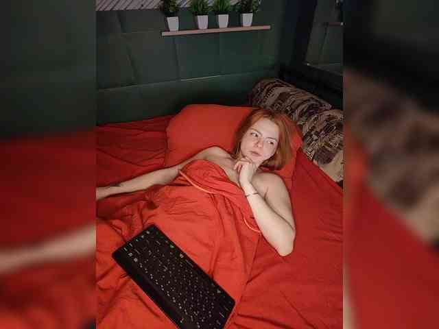 AliceRabbit webcam