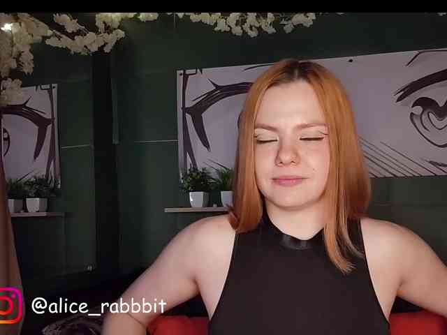 AliceRabbit webcam