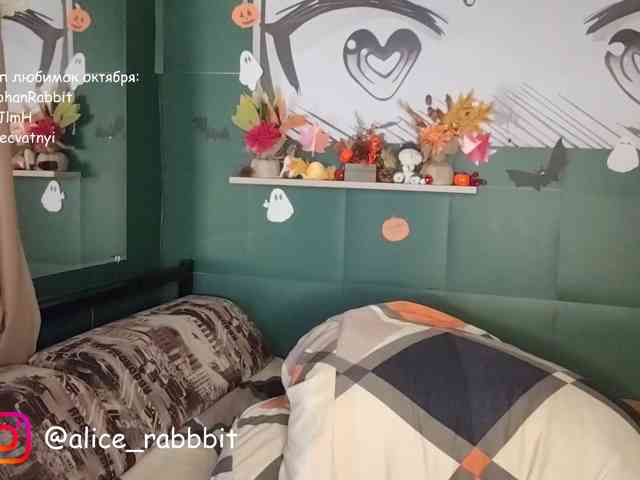 AliceRabbit AliceRabbit