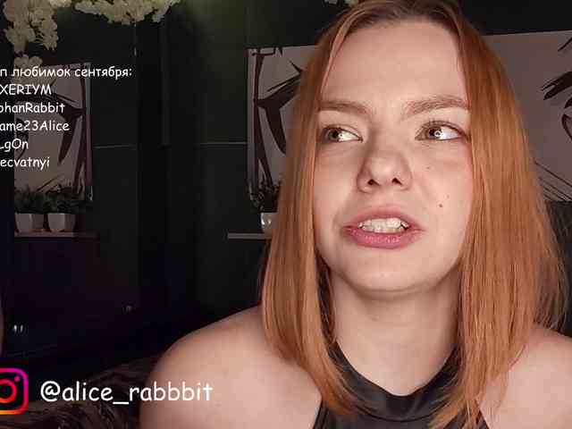AliceRabbit