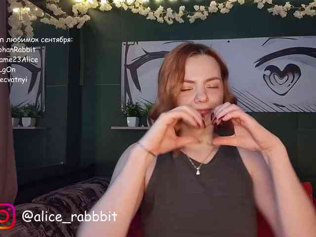 AliceRabbit webcam