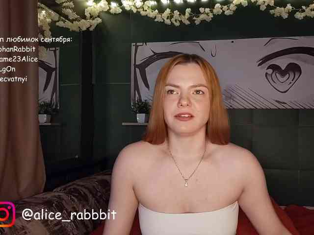 AliceRabbit webcam