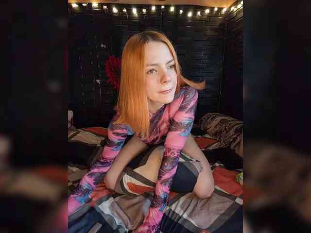 AliceRabbit webcam