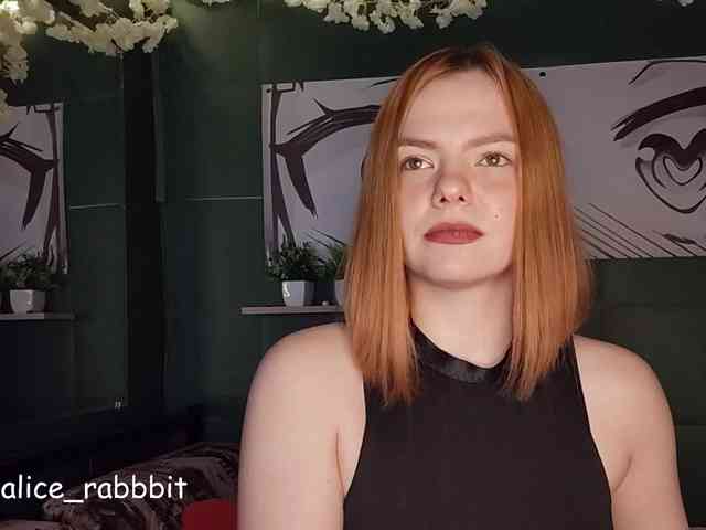 AliceRabbit webcam