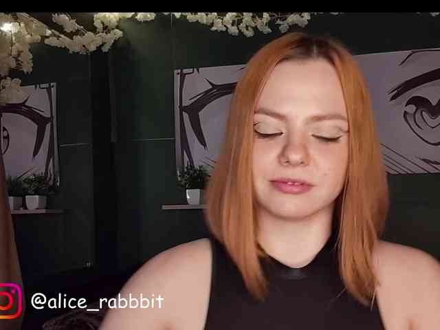 AliceRabbit webcam