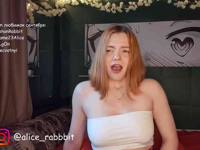 AliceRabbit webcam